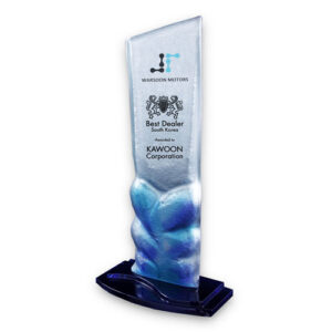 amity award