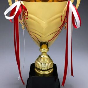 Metal Trophy Cup