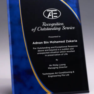plaque 11 awards