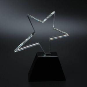star crystal awards 17