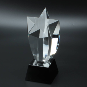 star crystal awards 21