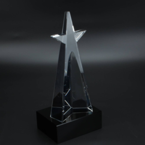 star crystal awards 22